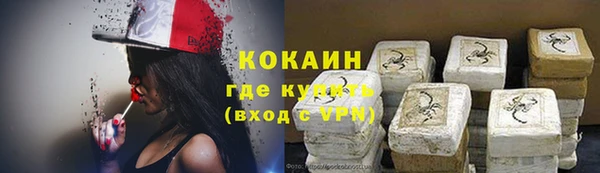 крисы Няндома