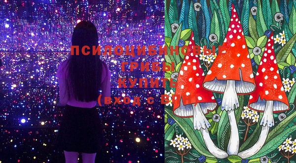 крисы Няндома