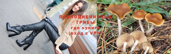 mdpv Котовск