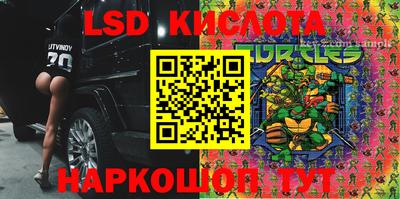 гашик Заводоуковск