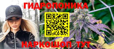гашик Заводоуковск