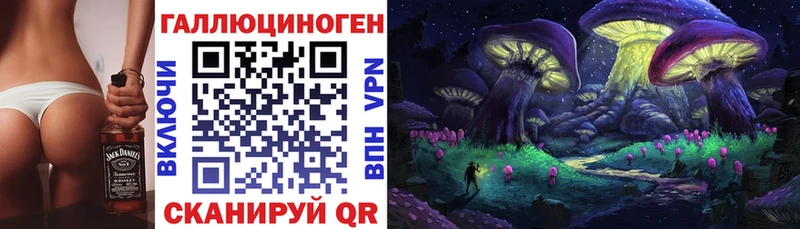 Псилоцибиновые грибы Psilocybine cubensis KRAKEN вход Протвино где найти наркотики
